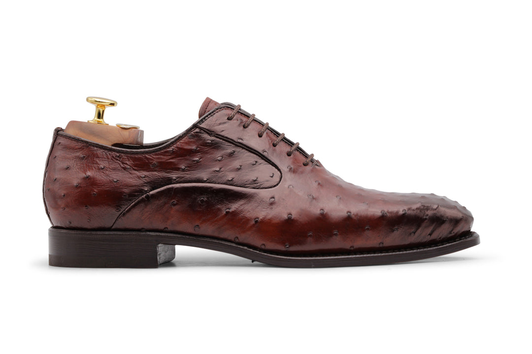 Cuir précieux à cordes
