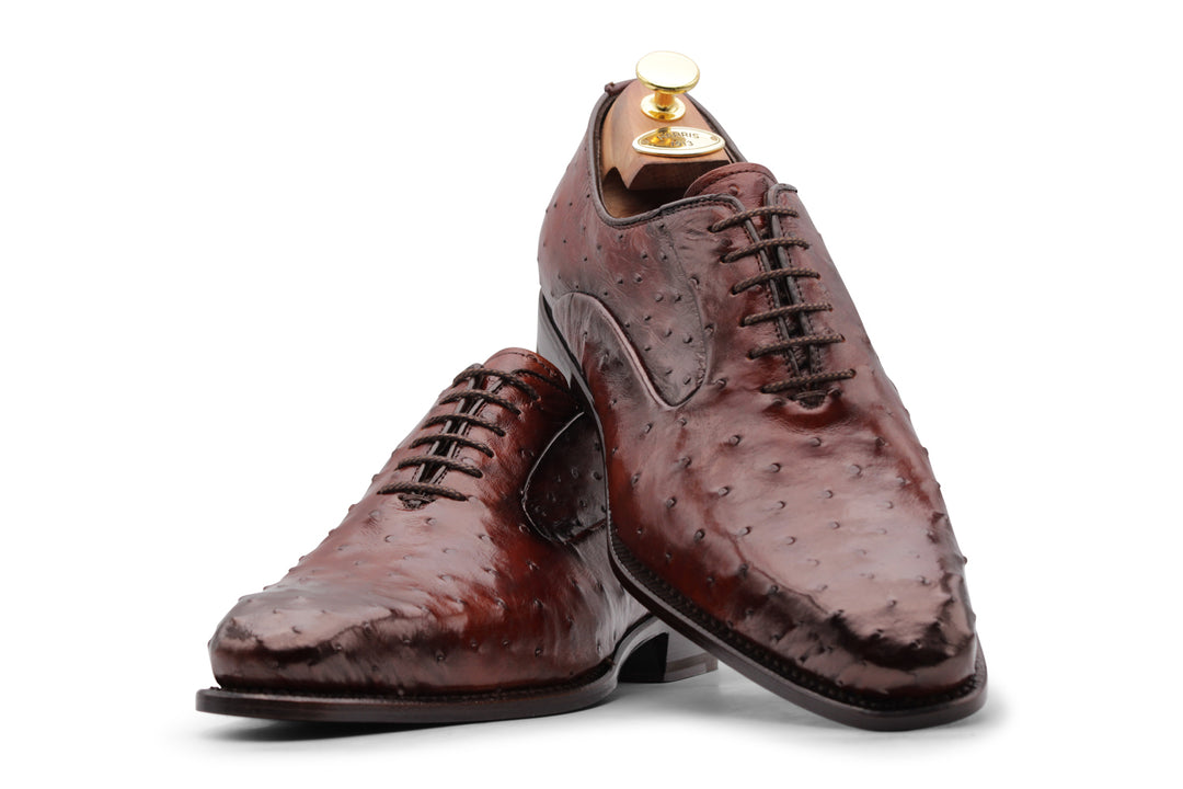 Cuir précieux à cordes