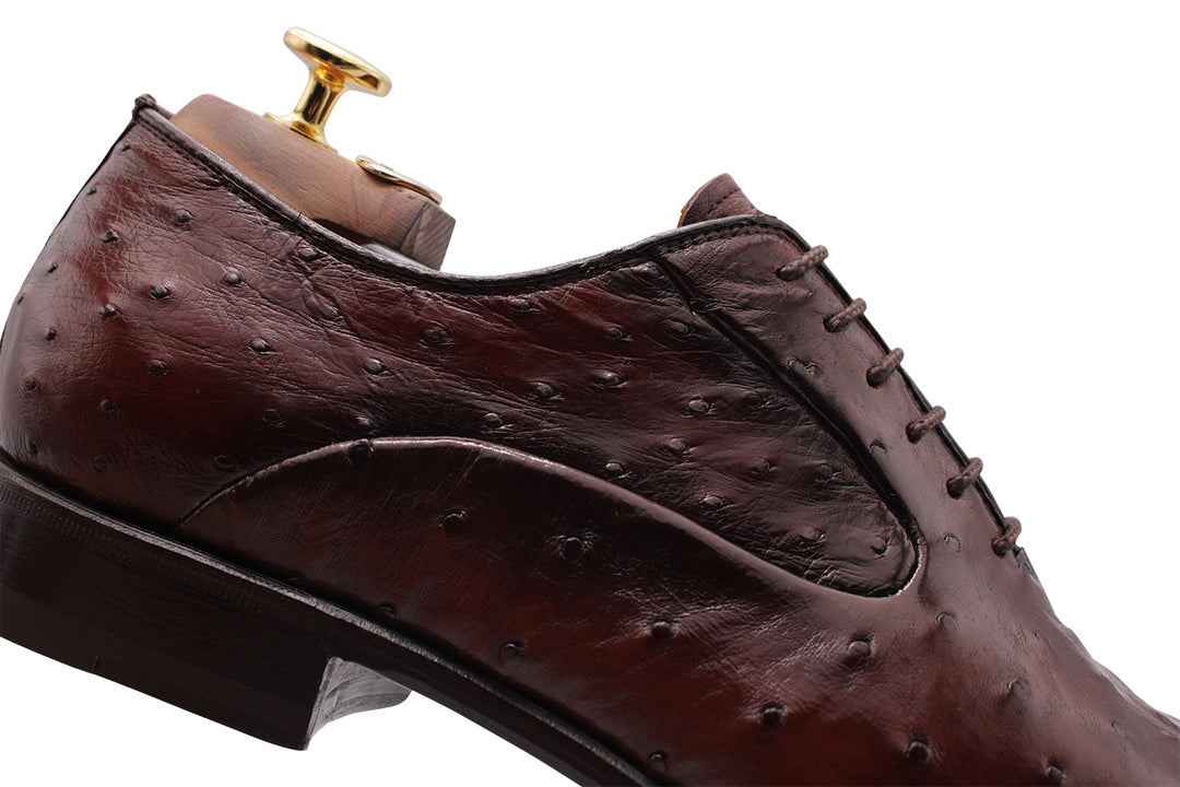 Cuir précieux à cordes