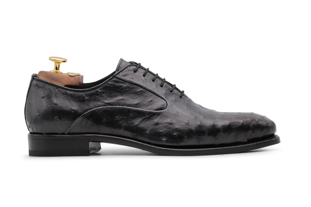 Cuir précieux à cordes