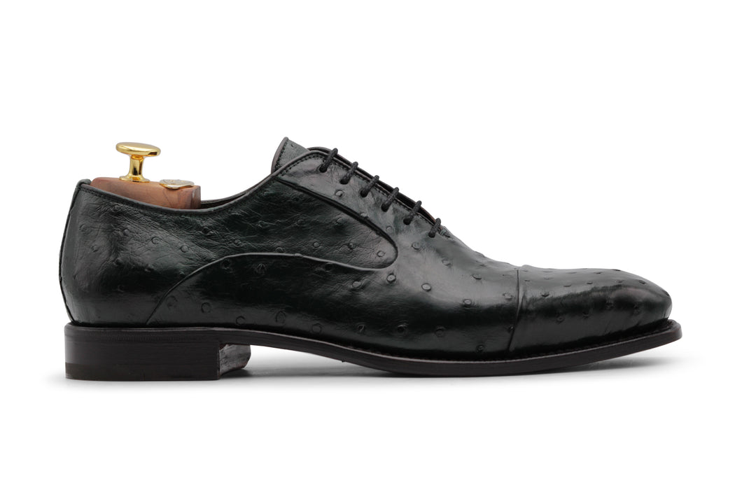 Cuir précieux à cordes