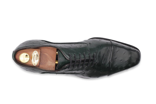 Cuir précieux à cordes