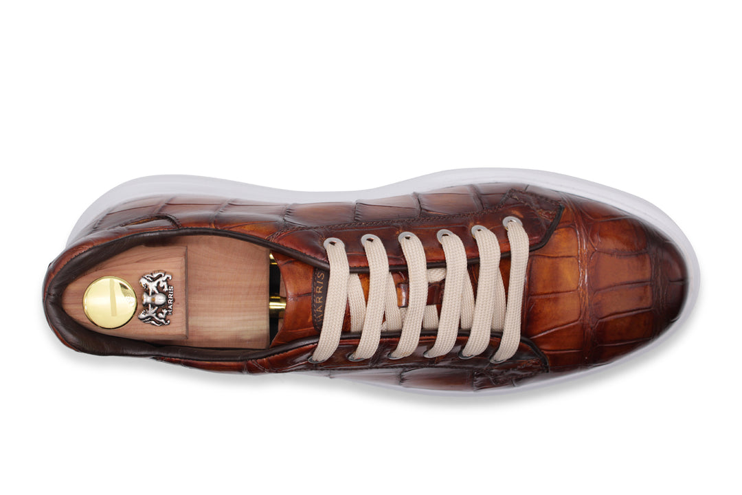 Crocodrillo -Turnschuhe