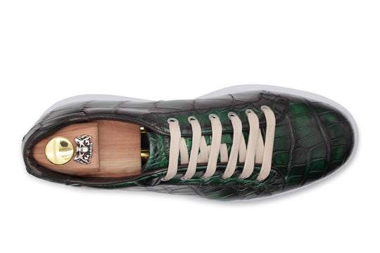 Crocodrillo -Turnschuhe