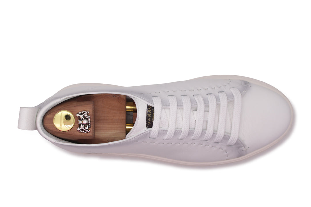 Shaded leather sneakers