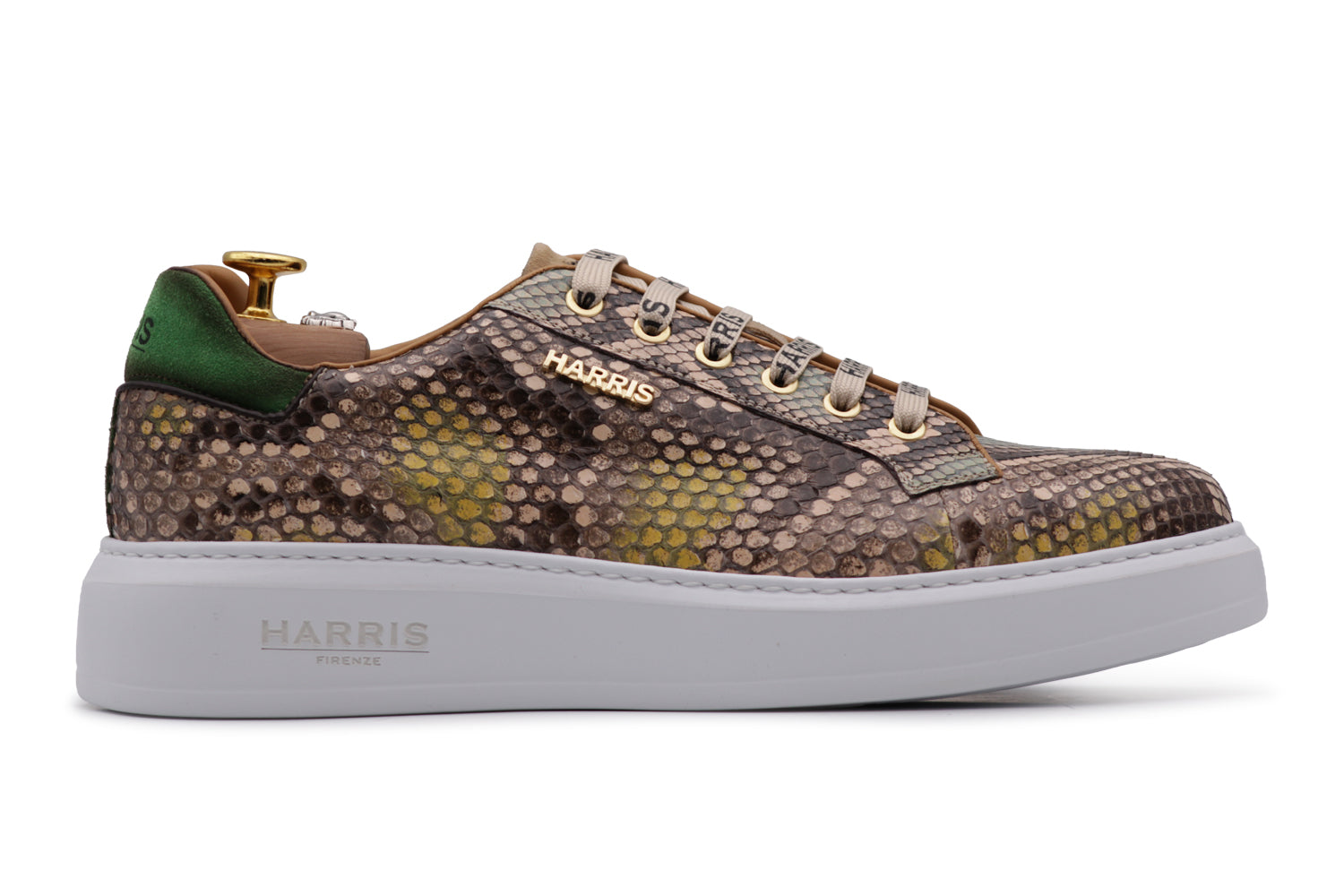 Multicolor python sneakers – Harris Shoes 1913